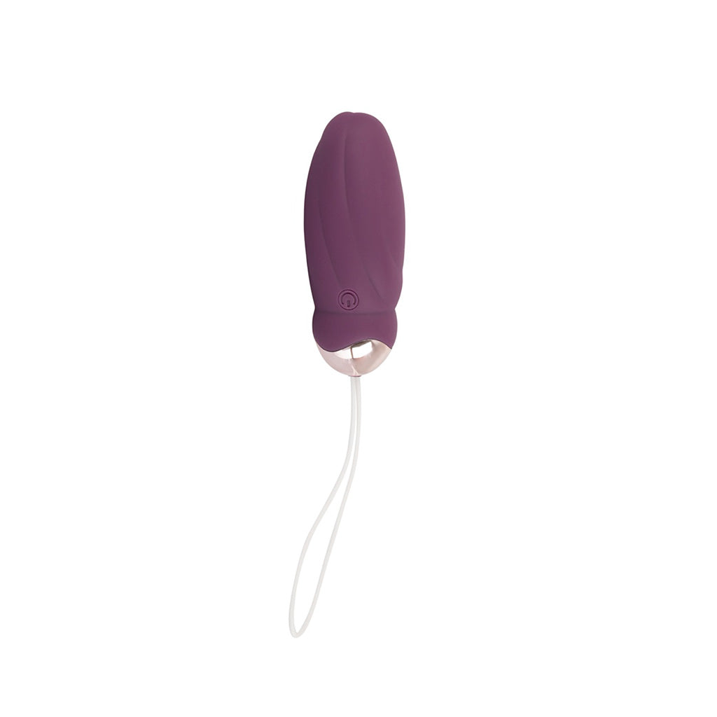 Ebi Vibrador huevo Orion Wholesale 3